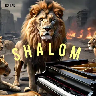 Shalom by K3hlab