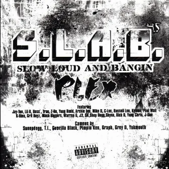 Plex, Vol. 4 by S.L.A.B.