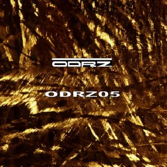 Odrz05 by ODRZ