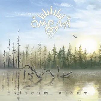 Viscum album by Омела