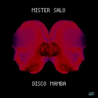 Disco Mamba (Original Mix) by Mister Salo