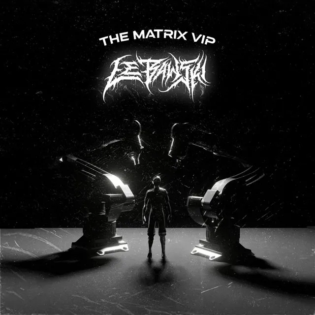 THE MATRIX (VIP Mix)