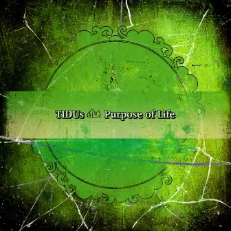 Purpose of Life by Tidus