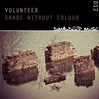 Shade Without Colour by Volunteer