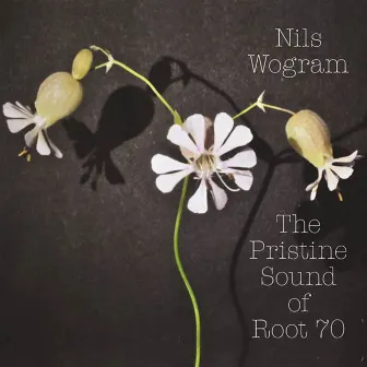 The Pristine Sound of Root 70 by Nils Wogram