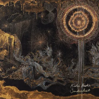 Sonderlust by Kishi Bashi