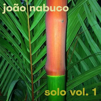 João Nabuco Solo - Vol. 1 by João Nabuco