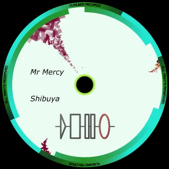 Shibuya by Mr.Mercy