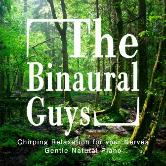 Chirping Relaxation for your Nerves - Gentle Natural Piano by The Binaural Guys