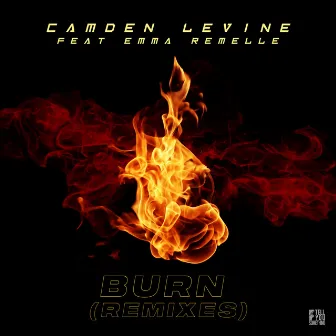 Burn (Remixes) by Camden Levine