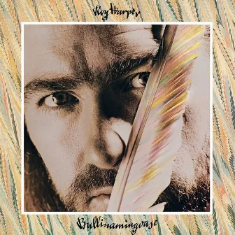 Bullinamingvase (Remastered) by Roy Harper