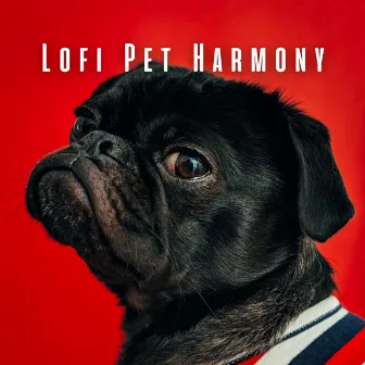 Lofi Pet Harmony: Ambient Sounds for Serenity by Sleep Dog