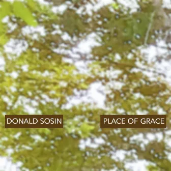 Place of Grace by Donald Sosin