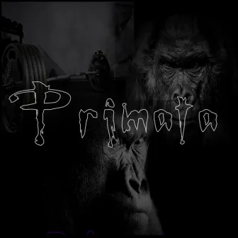 Primata by Notturno