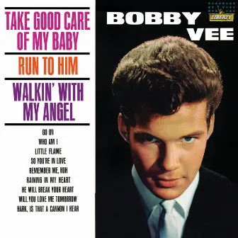 Take Good Care Of My Baby by Bobby Vee