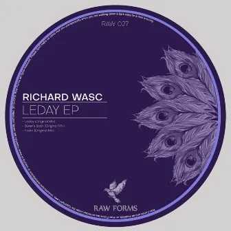 Leday EP by Richard Wasc