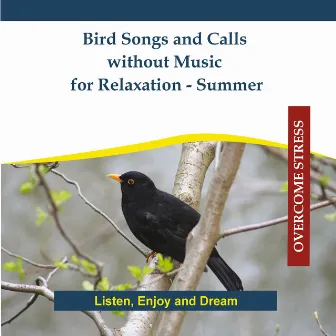 Bird Songs and Calls without Music for Relaxation - Summer by Rettenmaier