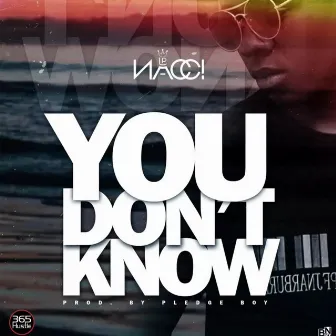 You Don’t Know by Nacci LP