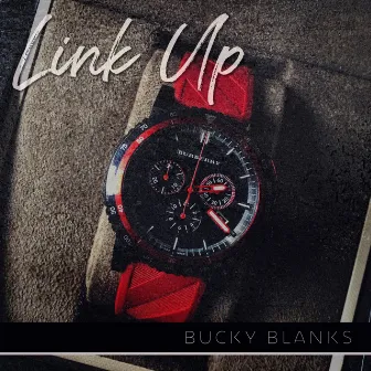 Link Up by Bucky Blanks