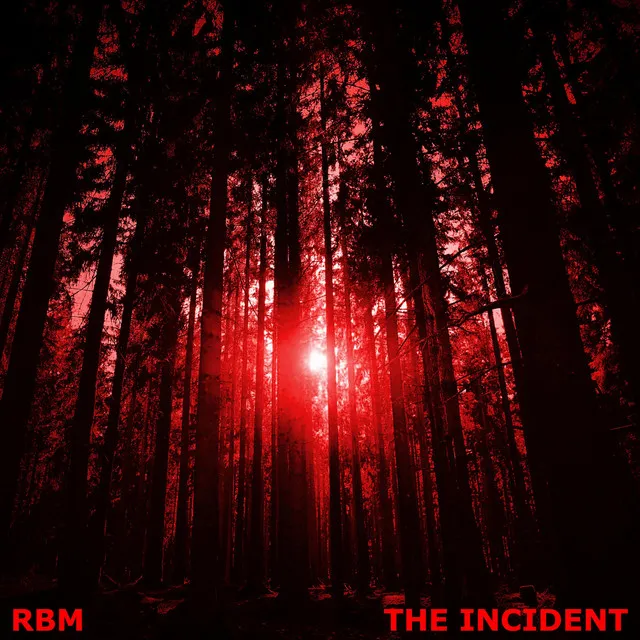 The Incident