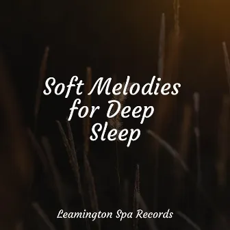 Soft Melodies for Deep Sleep by Sounds of Nature White Noise Sound Effects