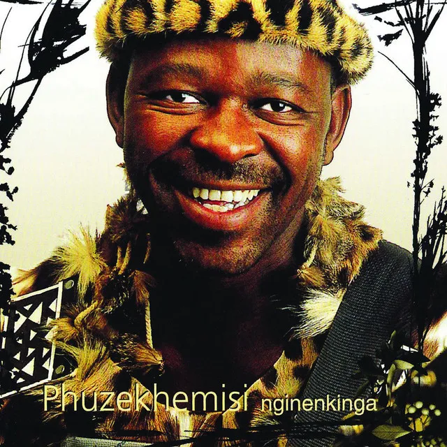 Phuzekhemisi