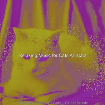 Fantastic Music for Cats - Guitar Music by 