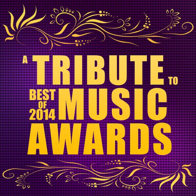 A Tribute to the Best of 2014 Music Awards