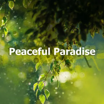 Peaceful Paradise by Nature Hub