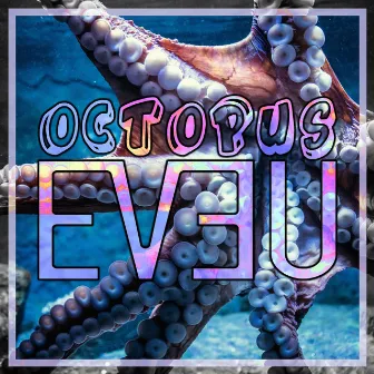 Octopus by Eveu