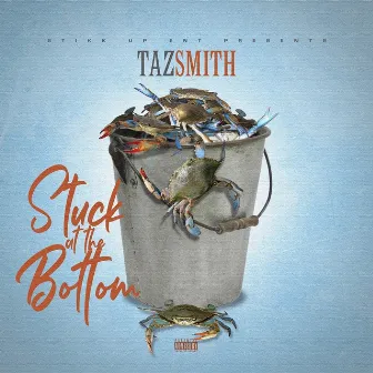 Stuck at the Bottom by Taz Smith