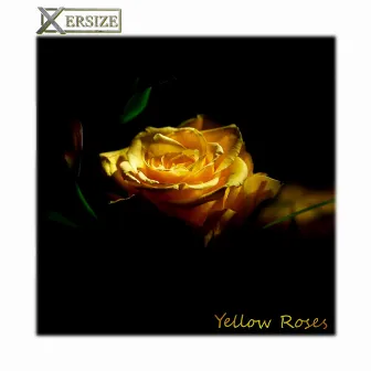 Yellow Roses by Xersize