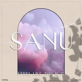 I Feel Like This Is It by Sanu