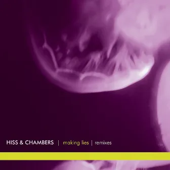 Making Lies by Hiss & Chambers