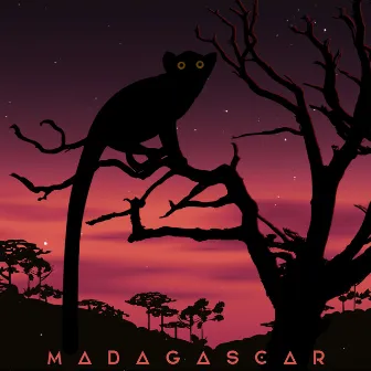 Madagascar by Dima