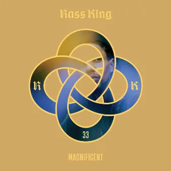 Magnificent by Rass King