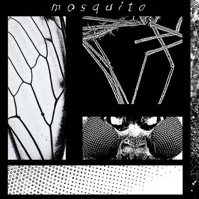 Mosquito