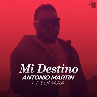 Mi Destino by Antonio Martin