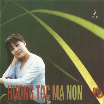 Tài Linh - Hương tóc mạ non by Tài Linh