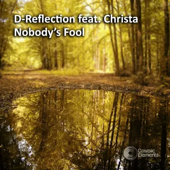 Nobody's Fool (feat. Christa) by D-Reflection