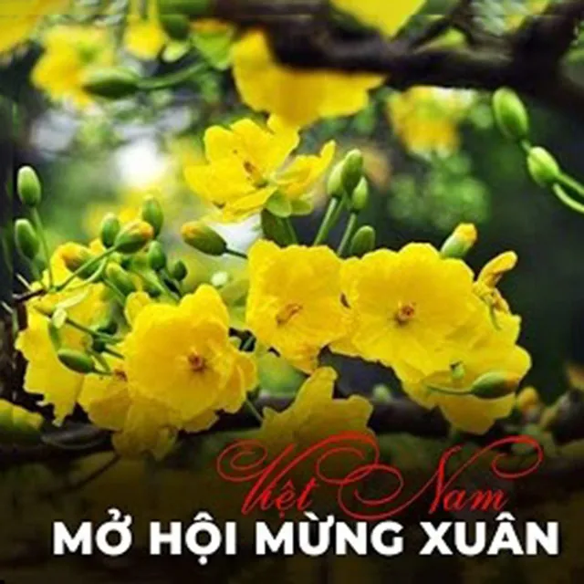 Lk: Câu Chuyện Đầu Năm