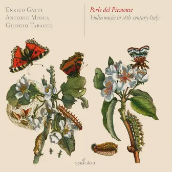 Perle del Piemonte: Violin Music in 18th-Century Italy by Giorgio Tabacco