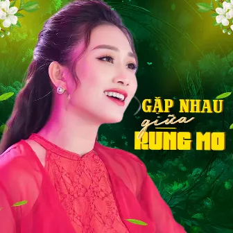 Gặp Nhau Giữa Rừng Mơ by Thanh Quý