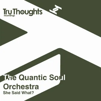 She Said What? by The Quantic Soul Orchestra