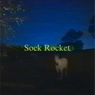 sus horse by Sock Rocket