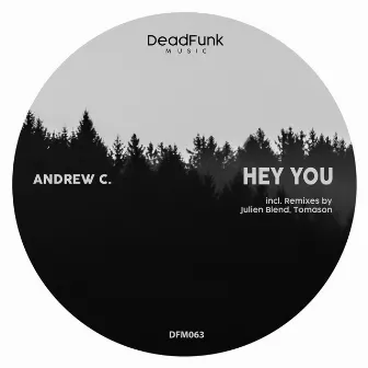 Hey You by Andrew C