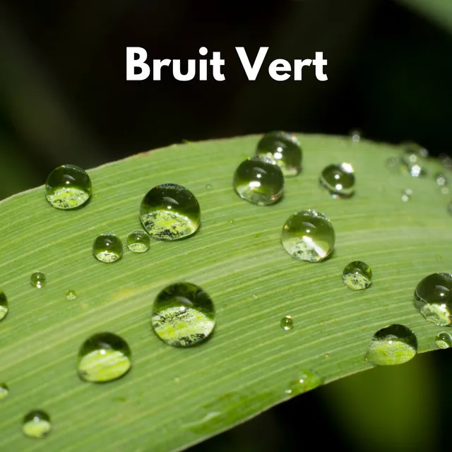 Bruit Vert