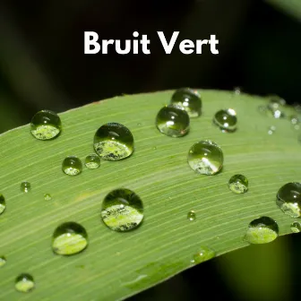 Bruit Vert by Bruit Brun