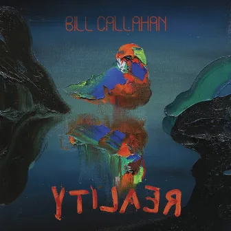 YTI⅃AƎЯ by Bill Callahan