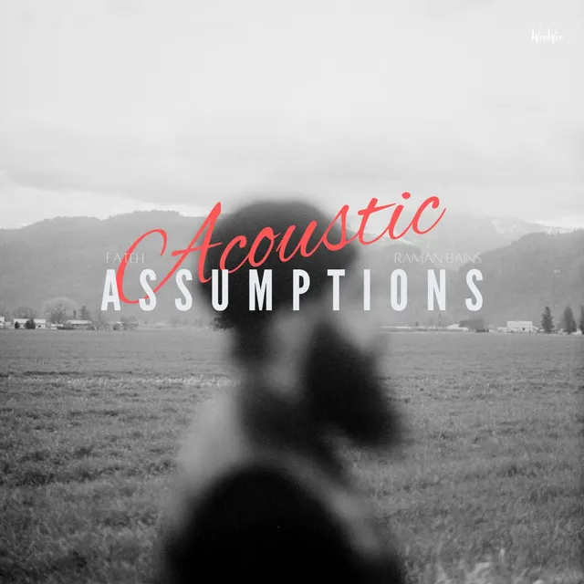 Assumptions - Acoustic Version